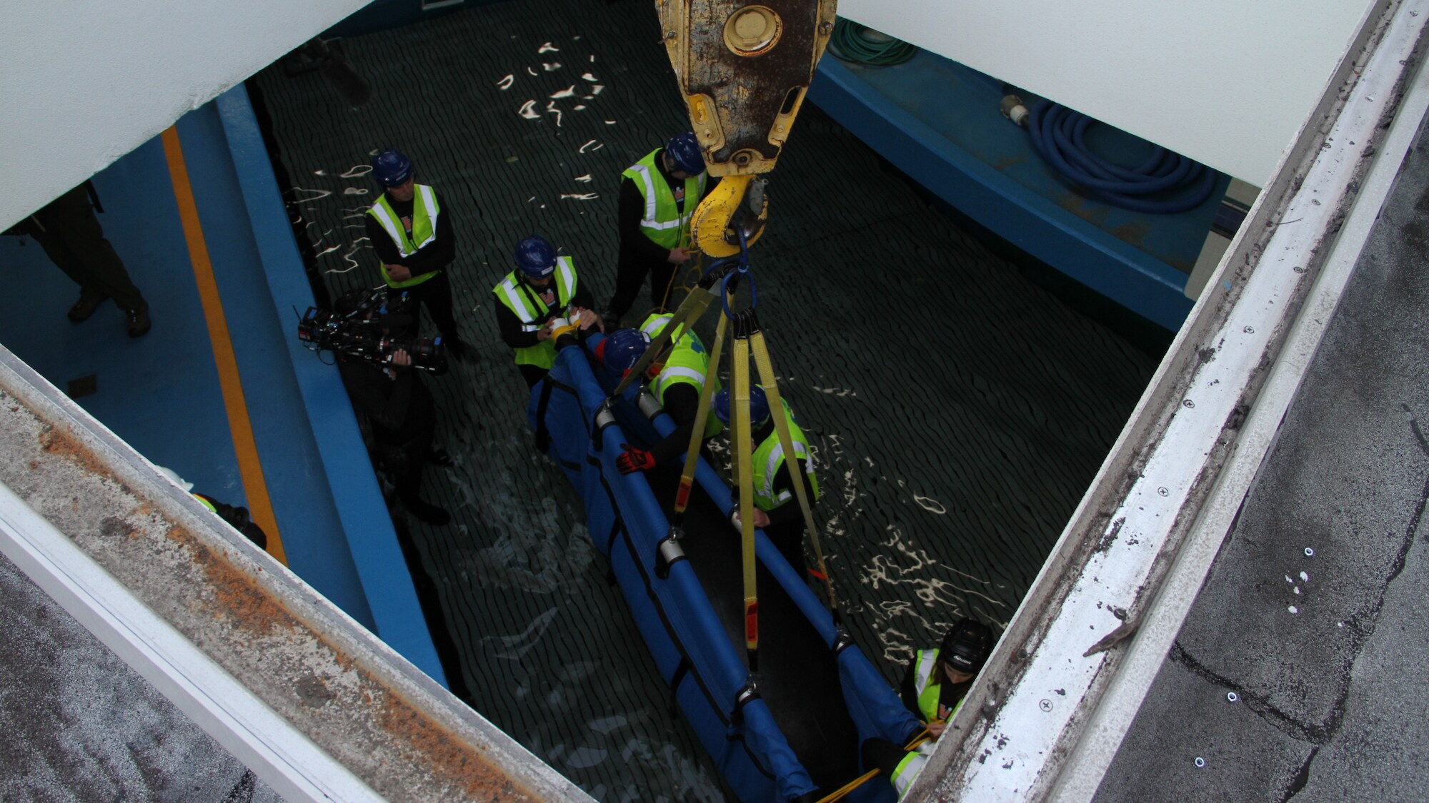 The team at The Seas with Nemo & Friends position Lou the West Indian manatee into the sling. Lou is being transported from his home at the Seas to the veterinarian treatment room to undergo a CT scan. (Disney)