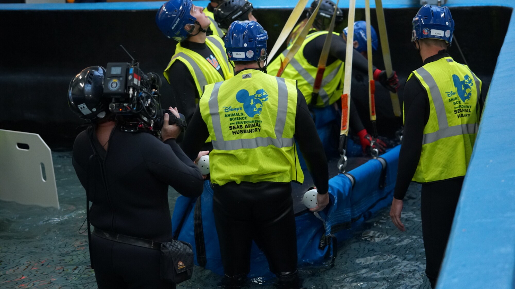 Production team film as Lou the manatee is transported to the veterinarian treatment room. Aquarist looks up at the rest of the team located on the roof of the aquarium. (Disney)