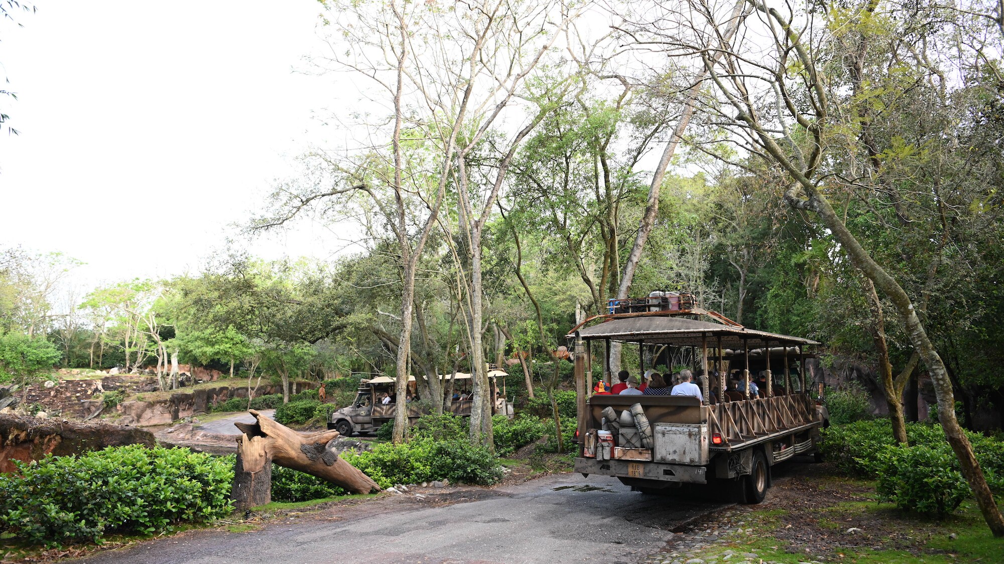 Kilimanjaro Safaris vehicle takes guests on a guided tour of the Harambe Wildlife Reserve. (National Geographic/Gene Page)