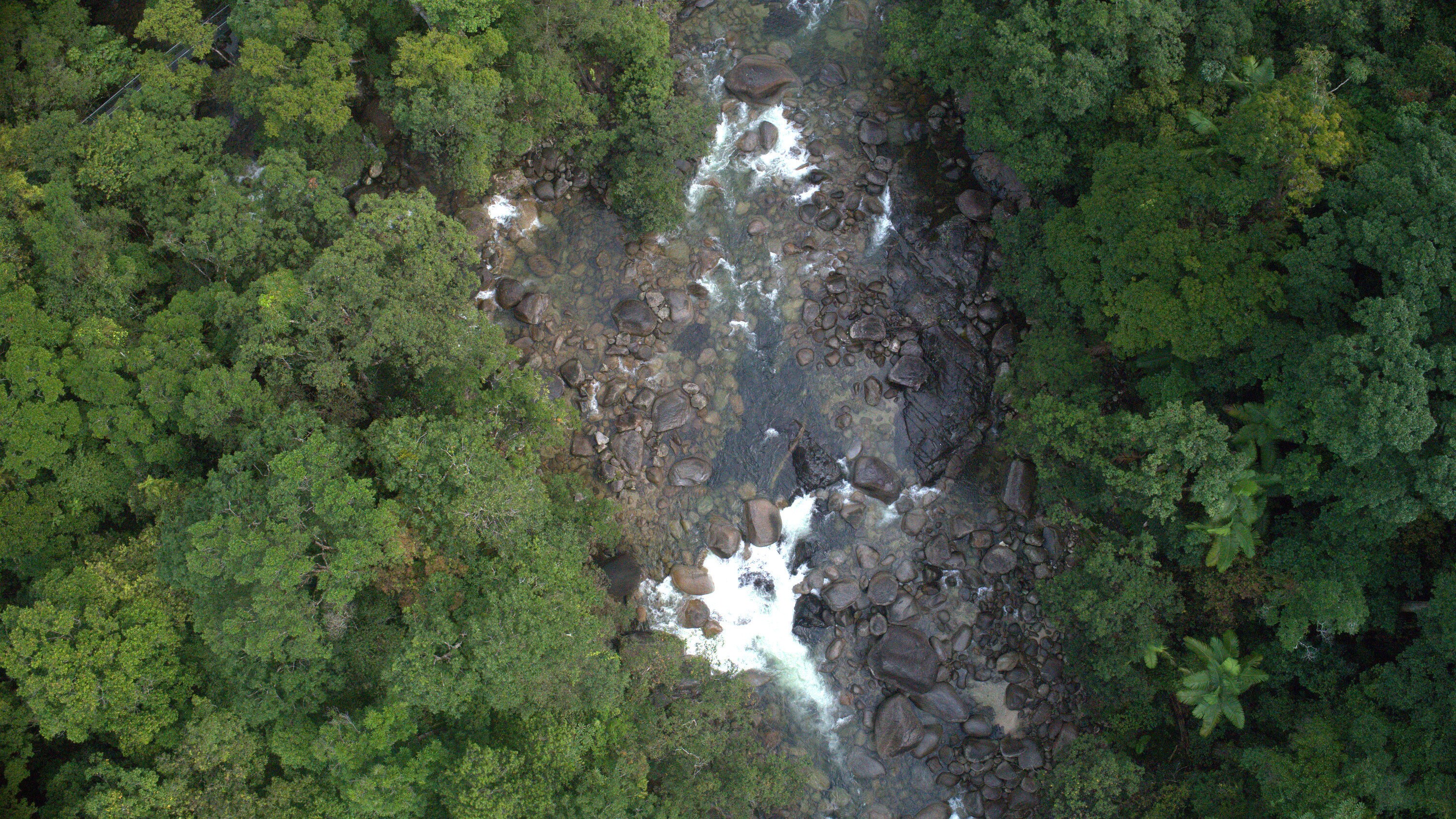 Aerial view of the Daintree River. (National Geographic for Disney+)