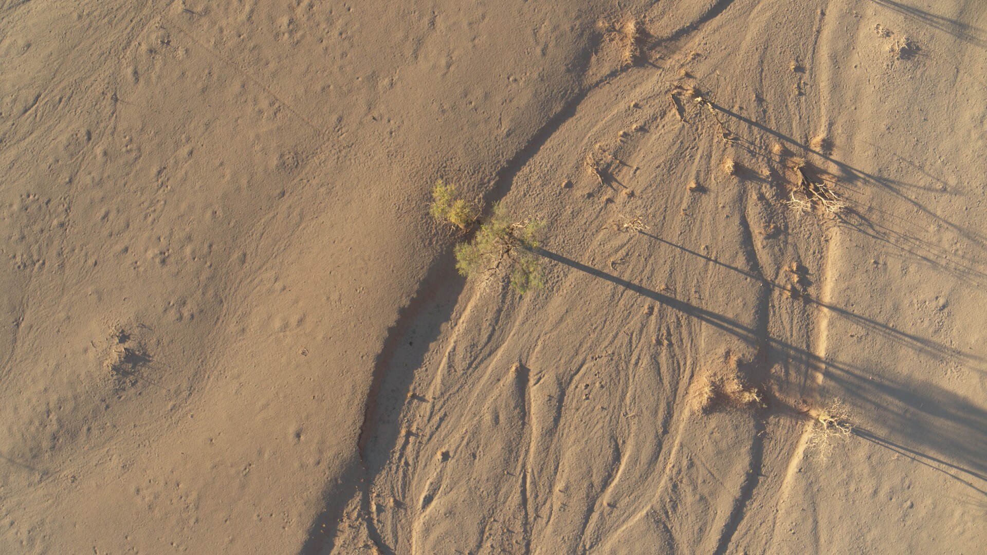 Dry riverbeds in the NamibRand Nature Reserve, Namibia. (National Geographic for Disney+)