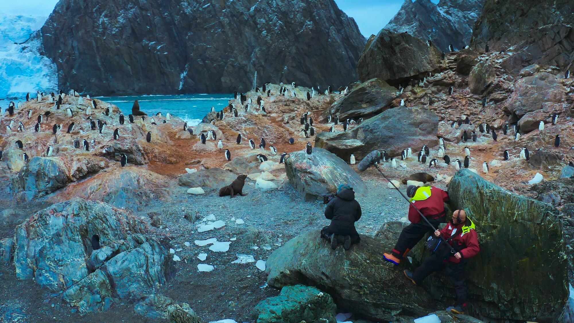 Crew and Bertie Gregory film penguins and seals.(Credit: National Geographic for Disney+)