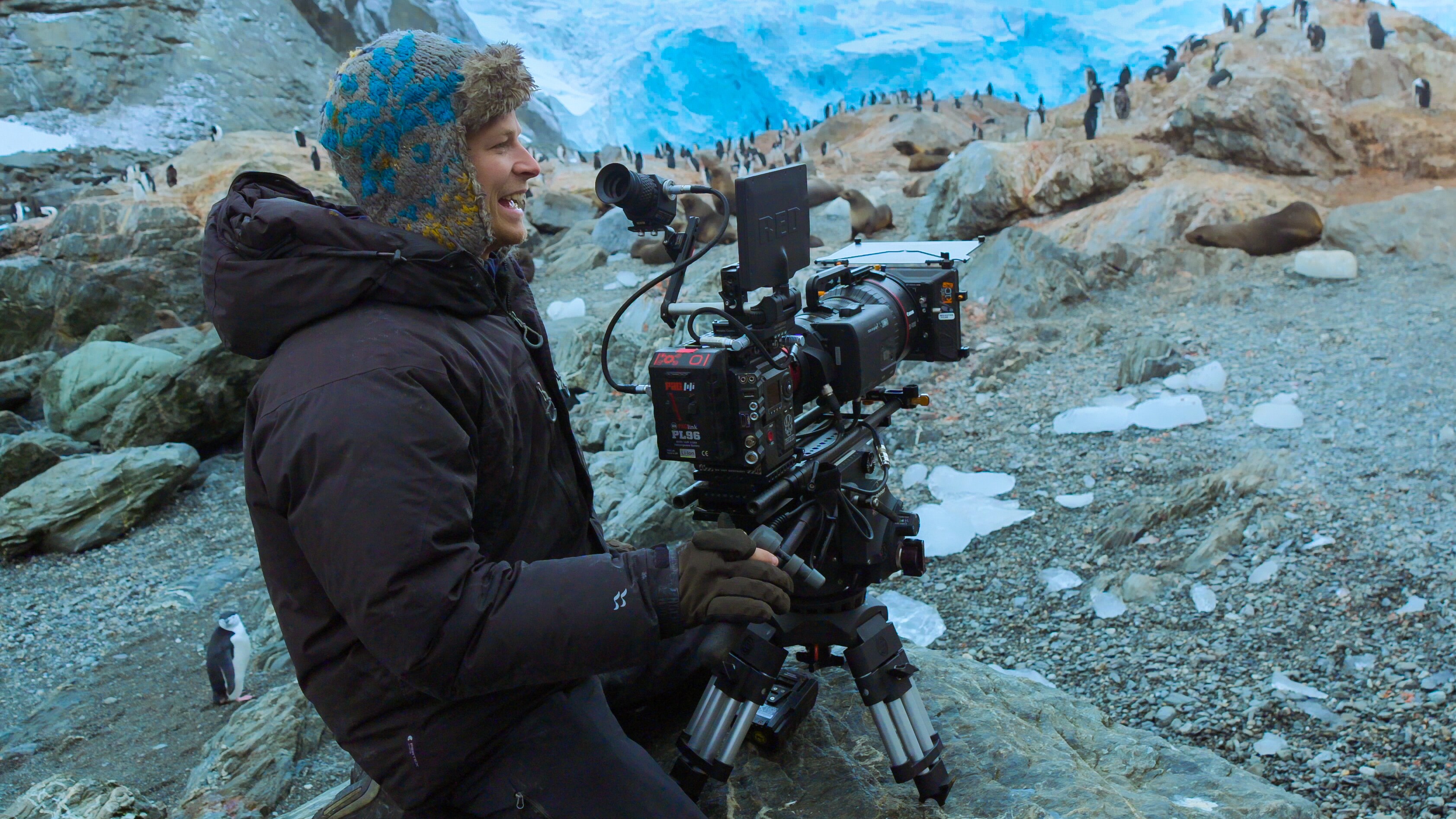 Elephant Island, Antarctica - Bertie Gregory films chinstrap penguins in a colony at Point Wild, Elephant Island, Antarctica. (Credit: National Geographic/Will West for Disney+)