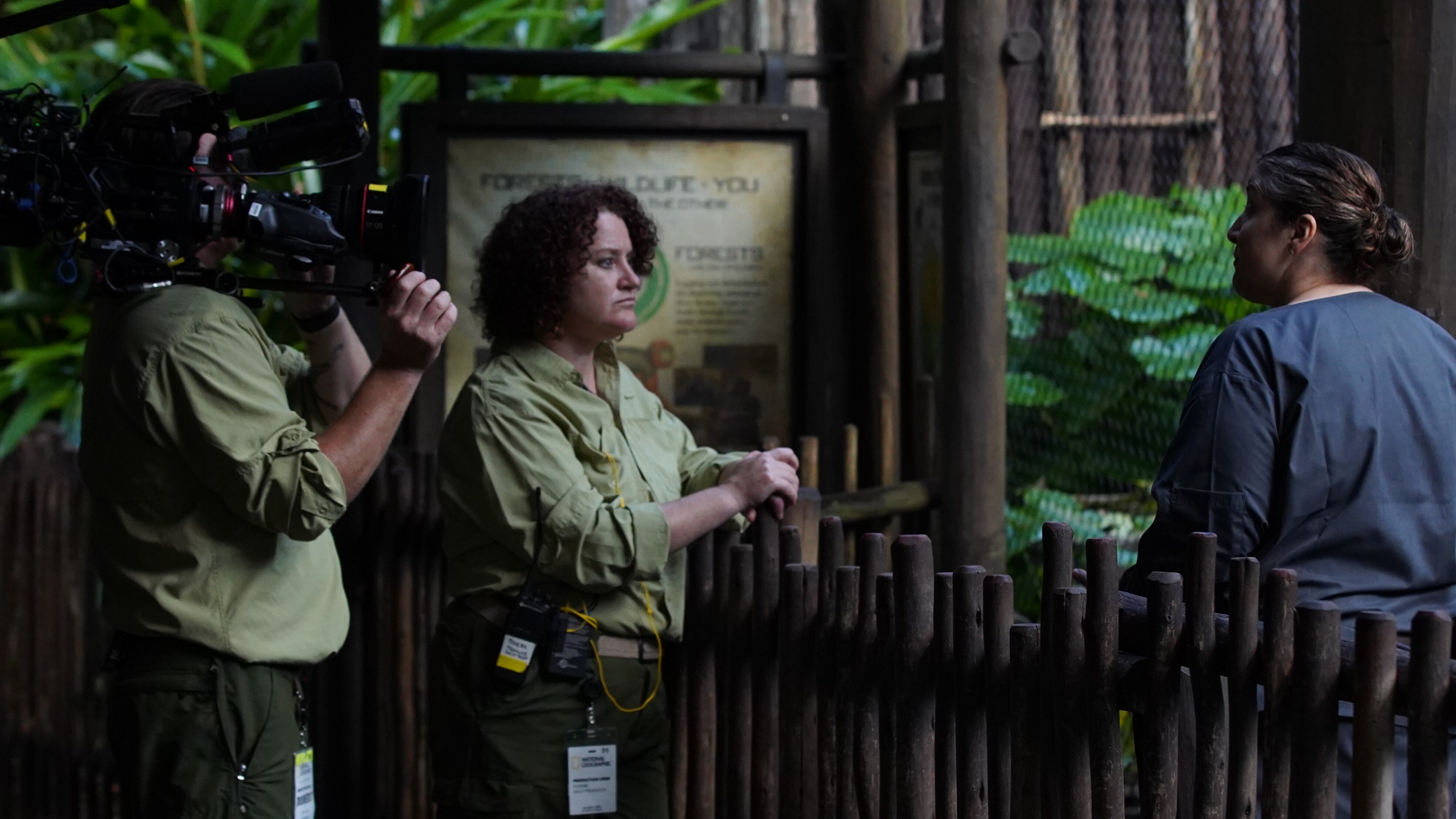Keeper Wendy Crofut discusses Zahra the Angolan Black and White Colobus's pregnancy. (Disney)