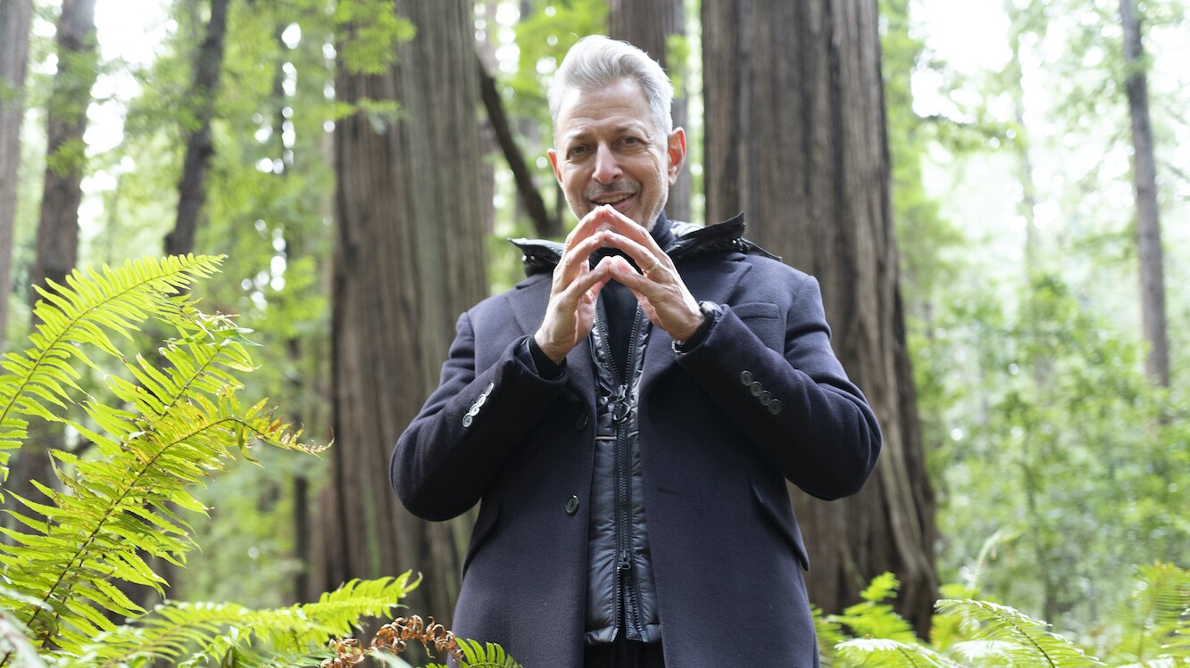 Eureka, CA - Jeff Goldblum in Eureka Forest hunting for Big Foot. (Credit: National Geographic/Seppi Aghajani)