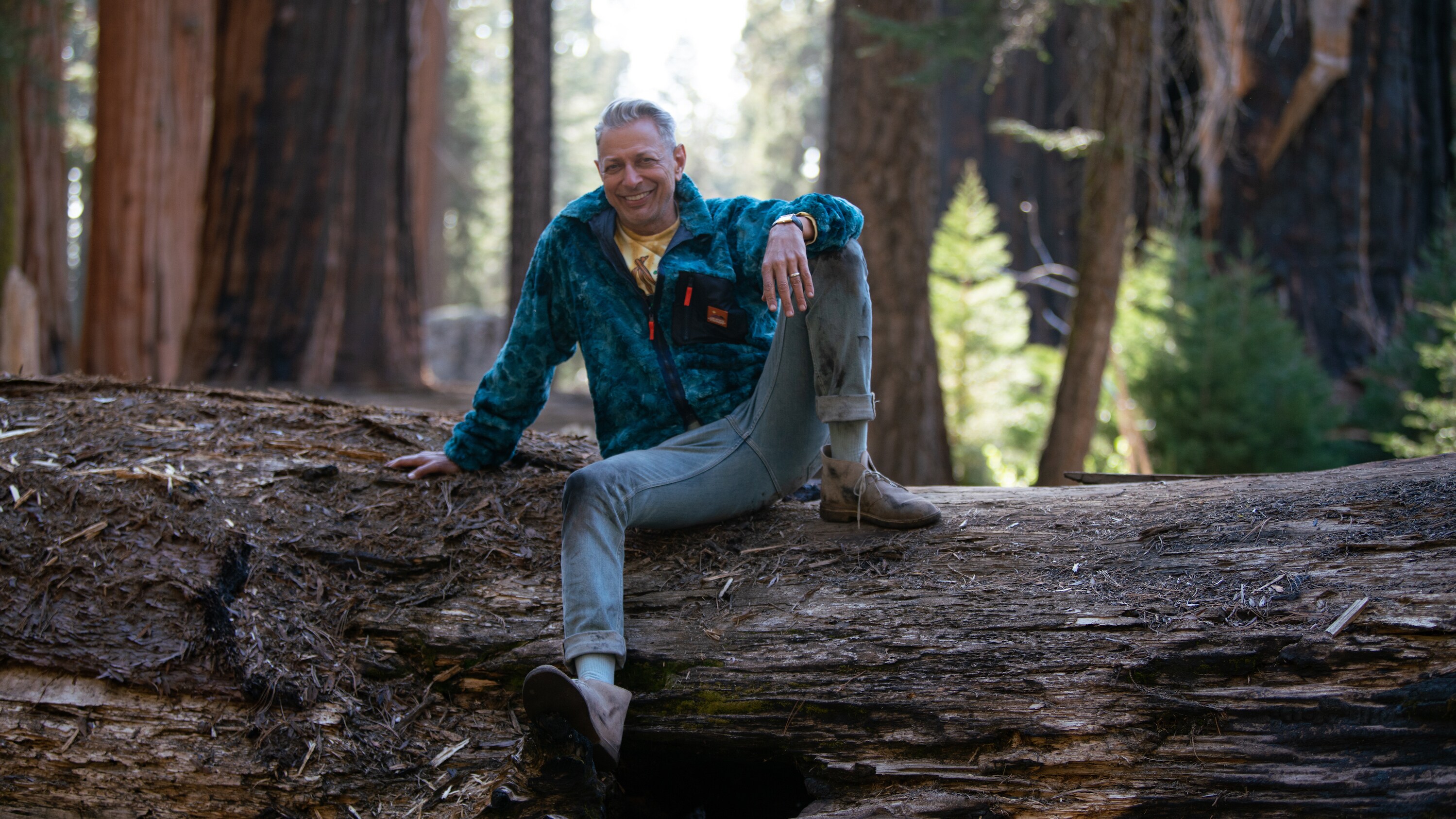 CA - Jeff Goldblum in Sequoia National Park, CA. (Credit: National Geographic)