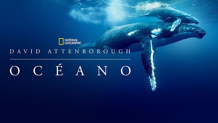 David Attenborough: Océano
