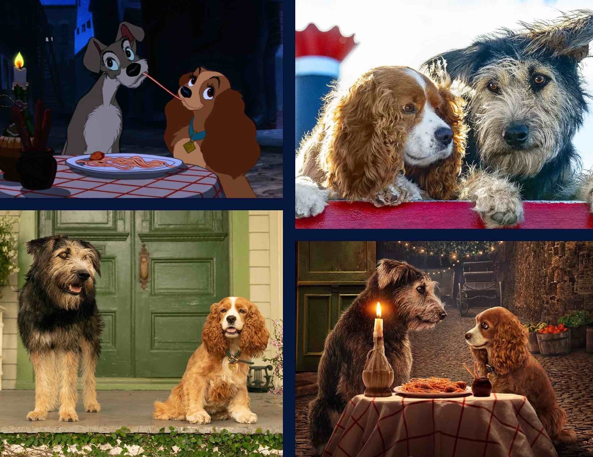 A still image from Lady and the Tramp