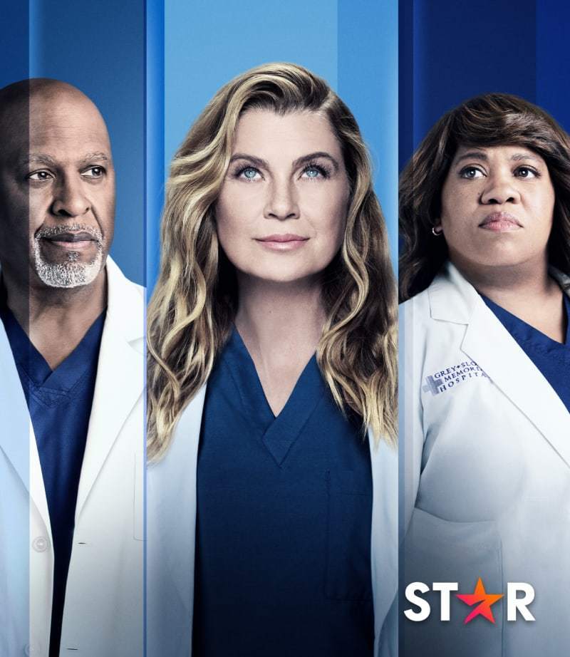 Greys Anatomy Greys Anatomy