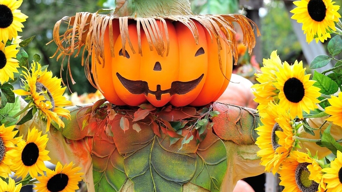 Close up of a pumpkin scarecrow surrounded by sunflowers