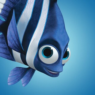 Finding Nemo Official Site Disney Movies Finding nemo came out in 2003 and was beloved for its storyline and (somewhat) accurate depiction of life in the ocean. finding nemo official site disney