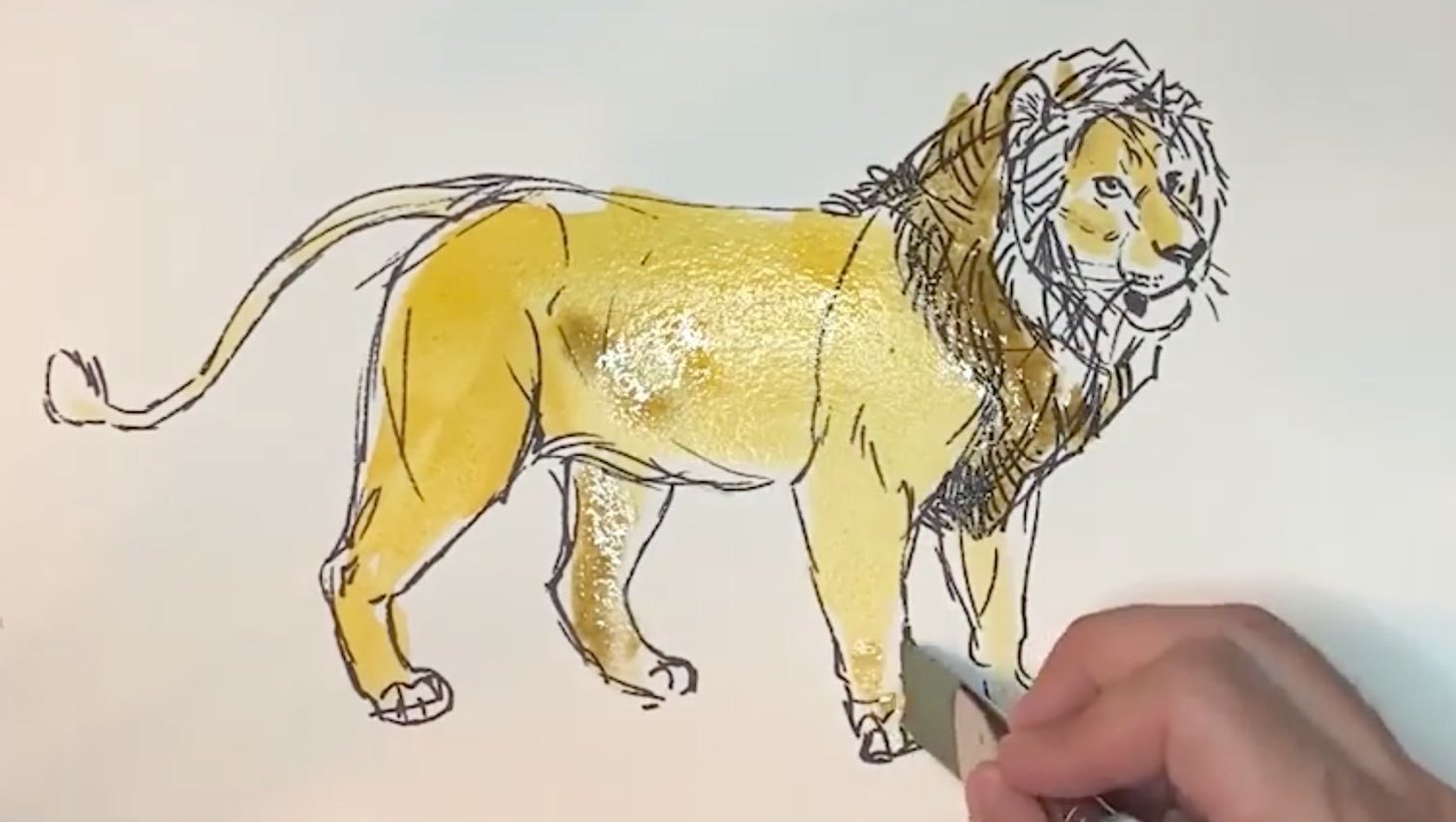 A sketch of a lion
