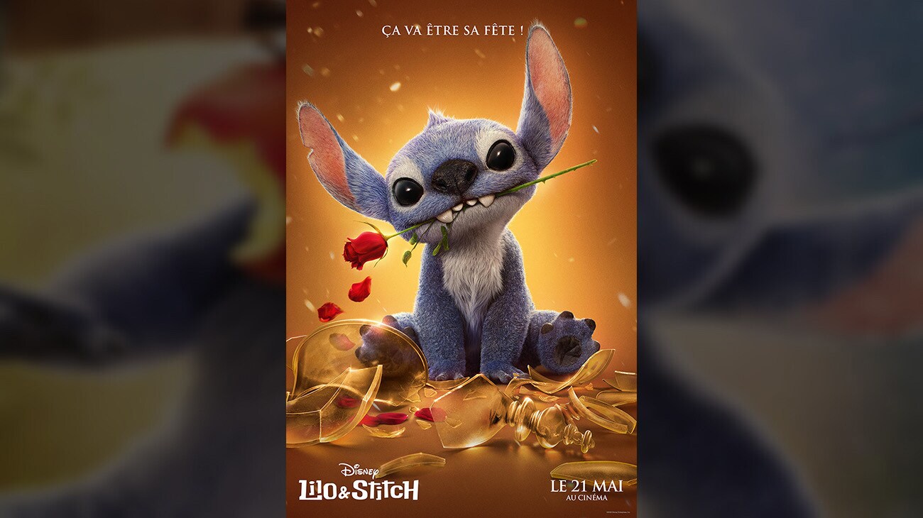 Image de Stitch avec une rose entre les dents | Ça va être sa fête | Disney | Lilo & Stitch