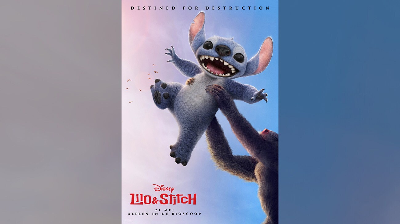 Afbeelding van Stitch die in de lucht wordt gehouden op een manier die vergelijkbaar is met die van Simba in The Lion King | Bestemd voor vernietiging | Disney | Lilo & Stitch