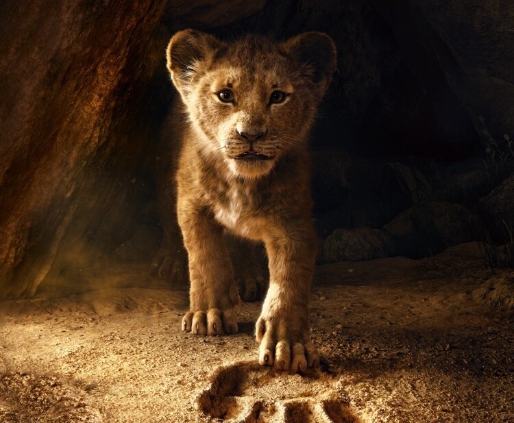 Resultado de imagen para el rey leon nueva version 2019