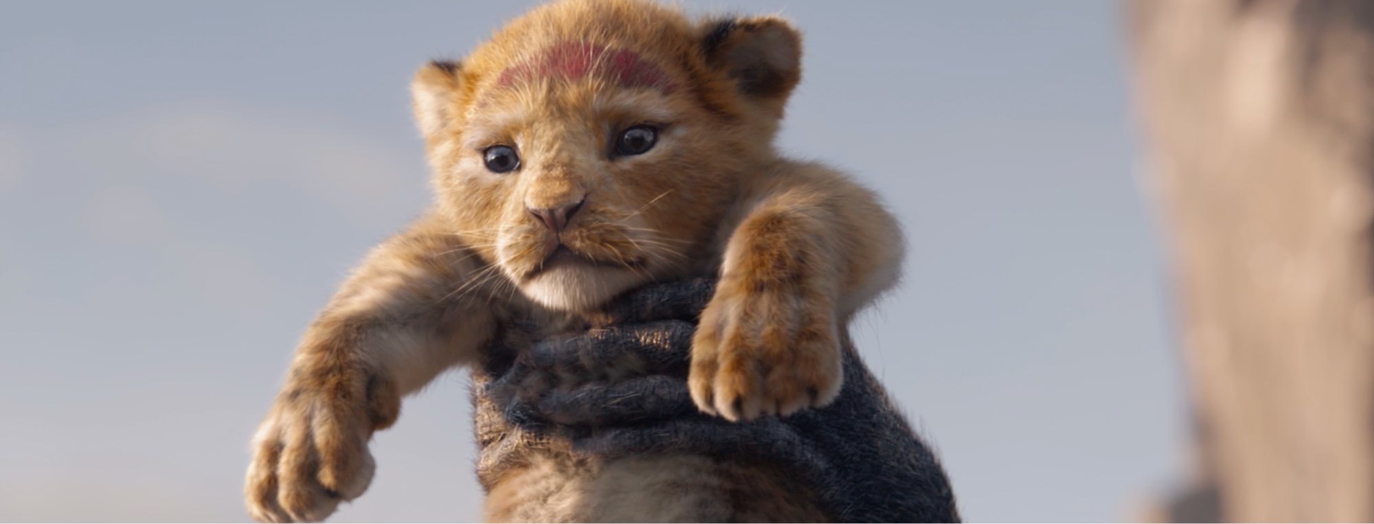 download the making of the lion king 2019