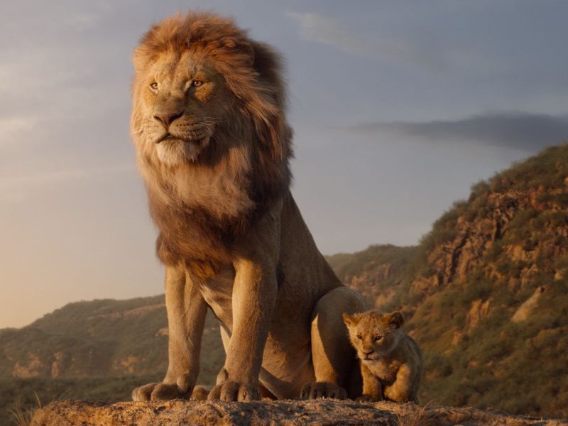 lion king 2019 trailer