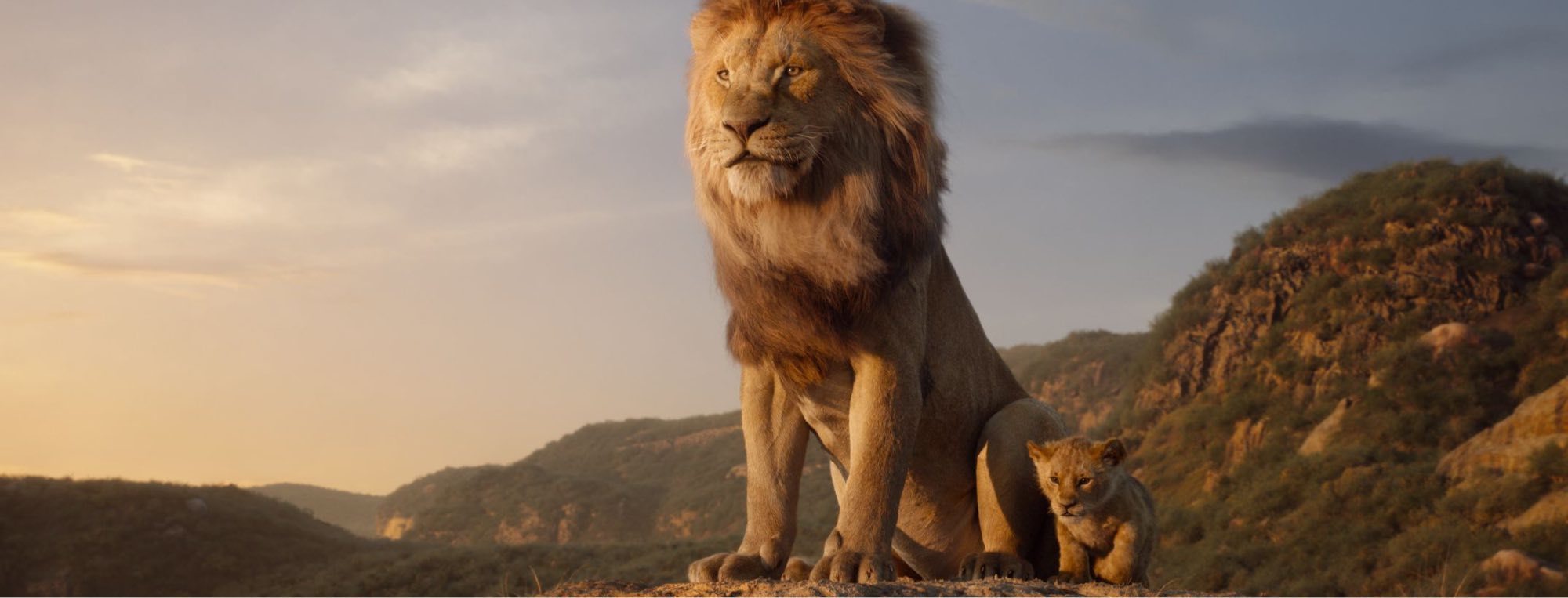 Le Roi Lion 4 Date De Sortie The Lion King (2019) - Trailer & Release Date | Disney UK