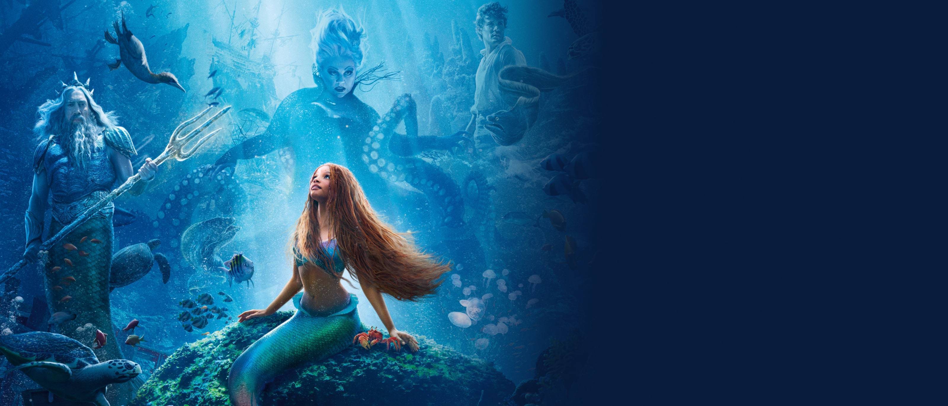 Find out more about The Little Mermaid