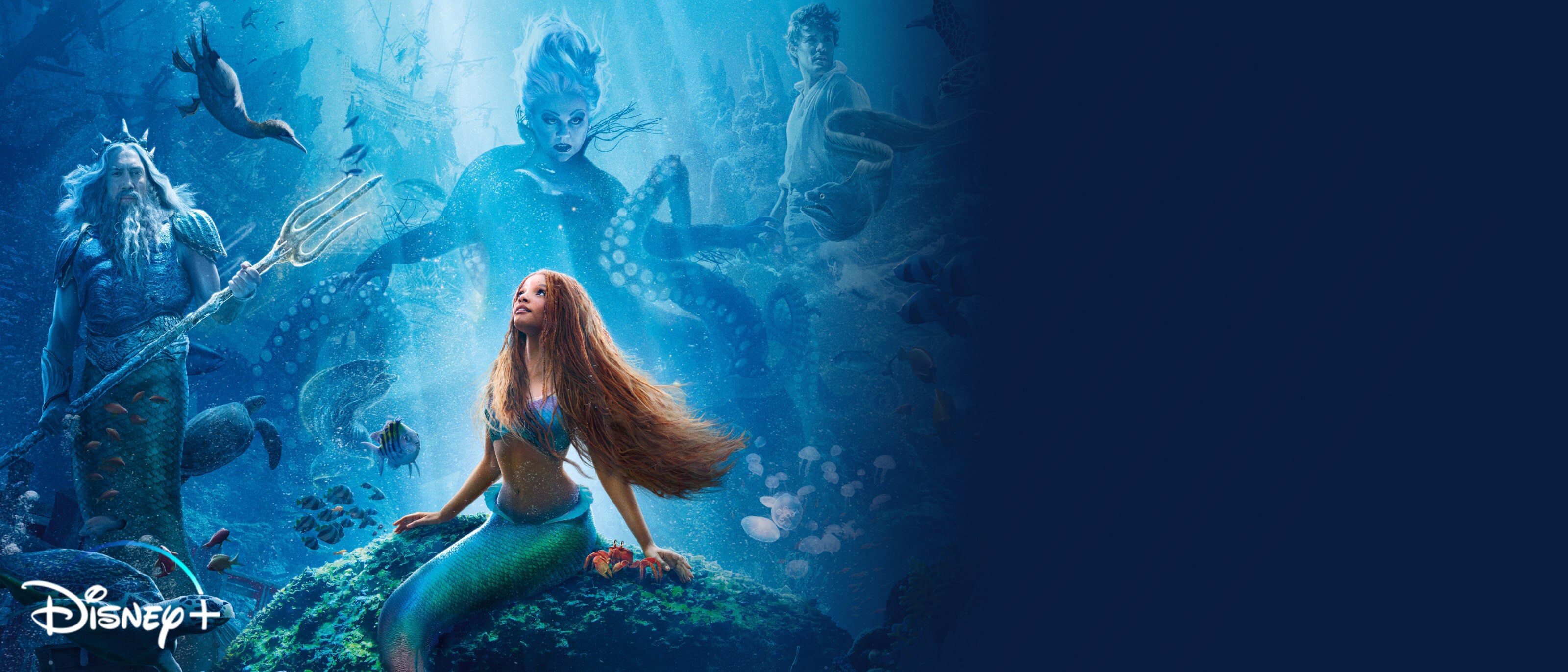 Disney nederland de offici le website voor alles disney