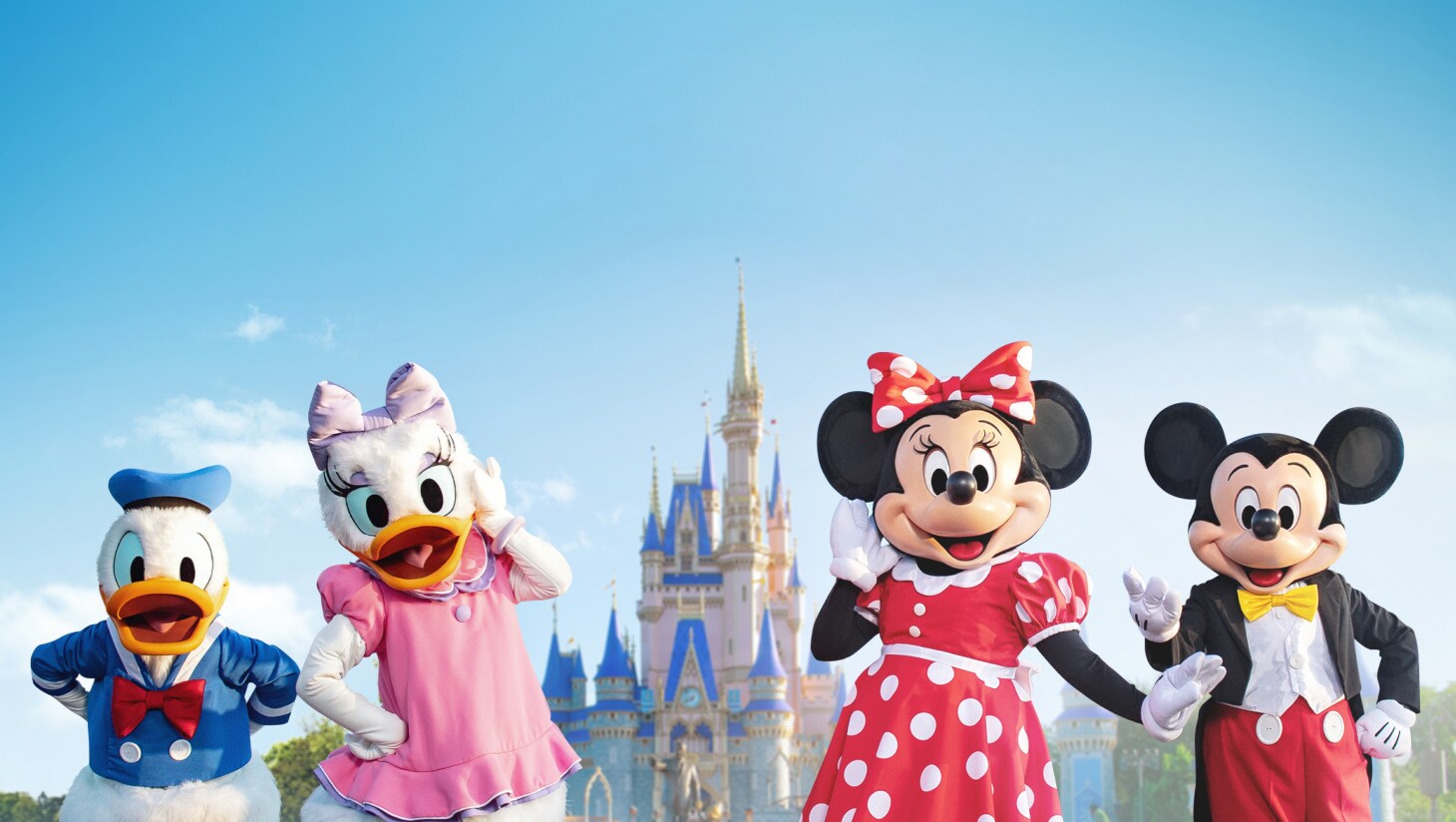 Déguisement Multi-Princesses Deluxe - 100ème Anniversaire Disney