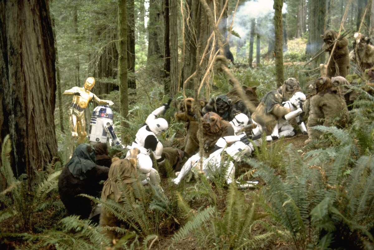 Ewok tree sale