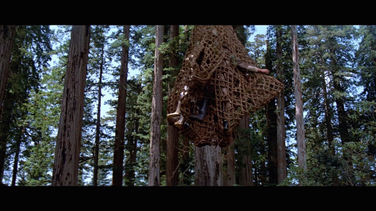Searching for Leia, Luke Skywalker and Han Solo ran across an Ewok trap – which Chewbacca unwisel...