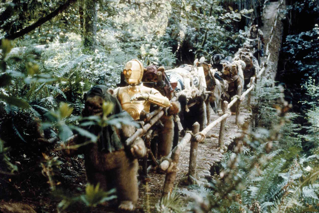 The Ewoks constructed a sedan chair and carried a bemused C-3PO through the woods to their villag...