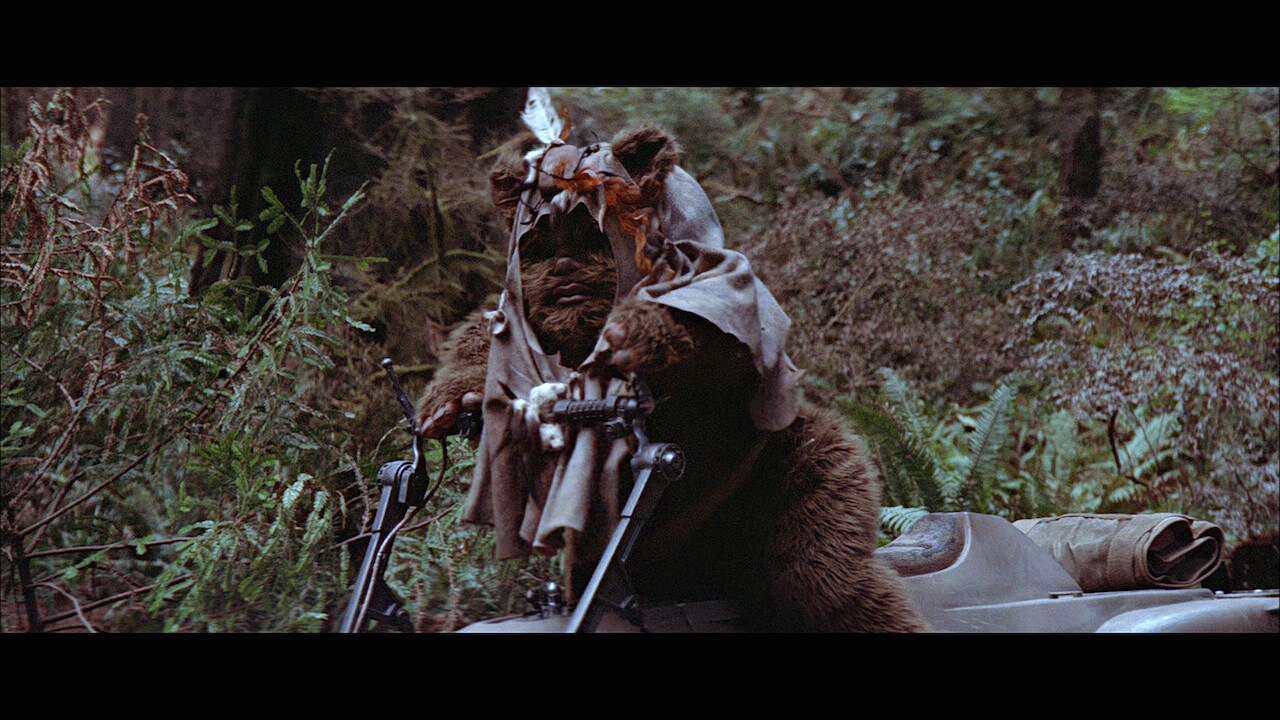 The Ewok warrior Paploo made a seemingly rash decision when he decided to steal an Imperial speed...