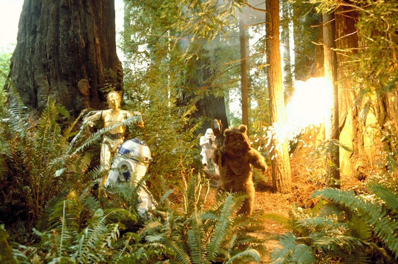 Star Wars Ewok Forest of Endor Summer Camp Tritan Shot Glass Clear