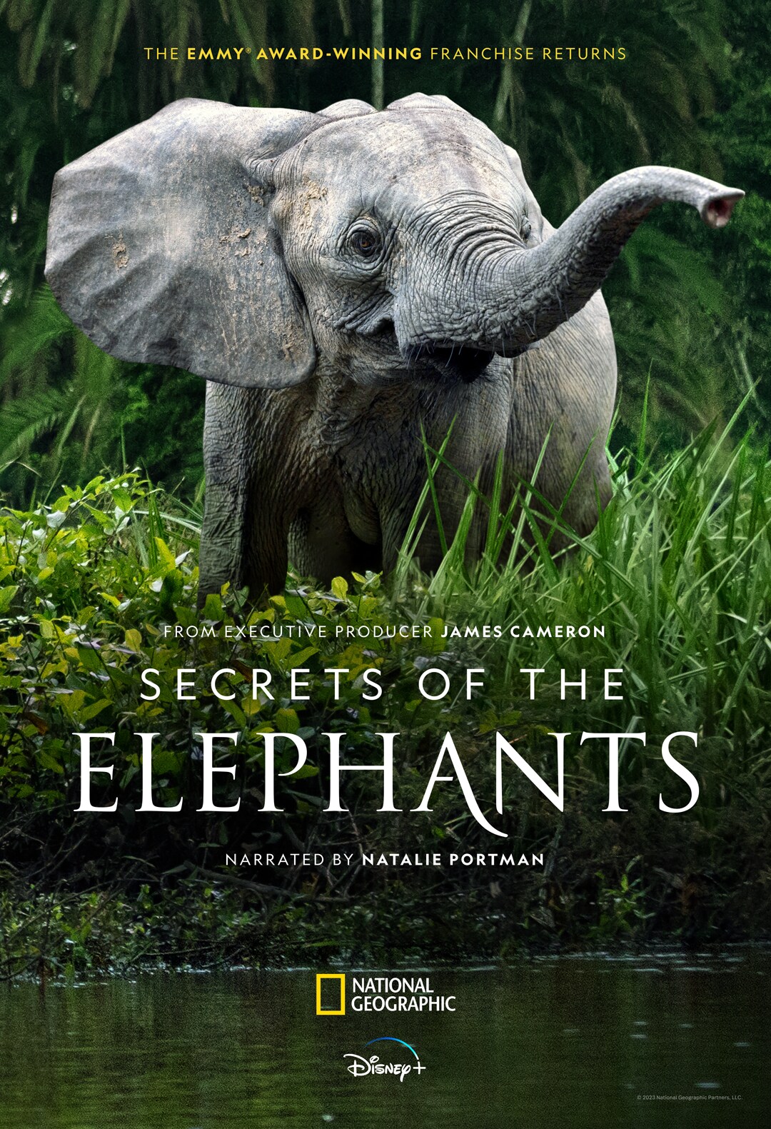 An elephant raises its trunk on the poster for Secrets of the Elephants