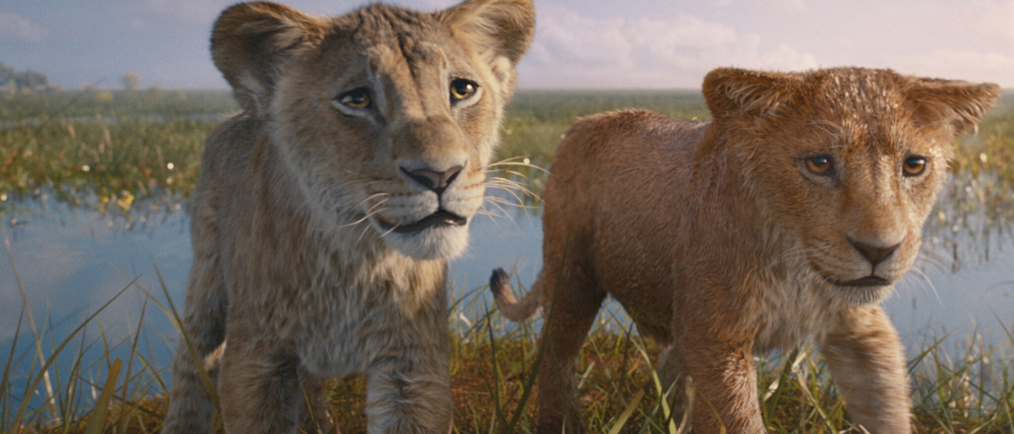 ムファサ様 ムファサ｜ライオン・キング｜ディズニー公式