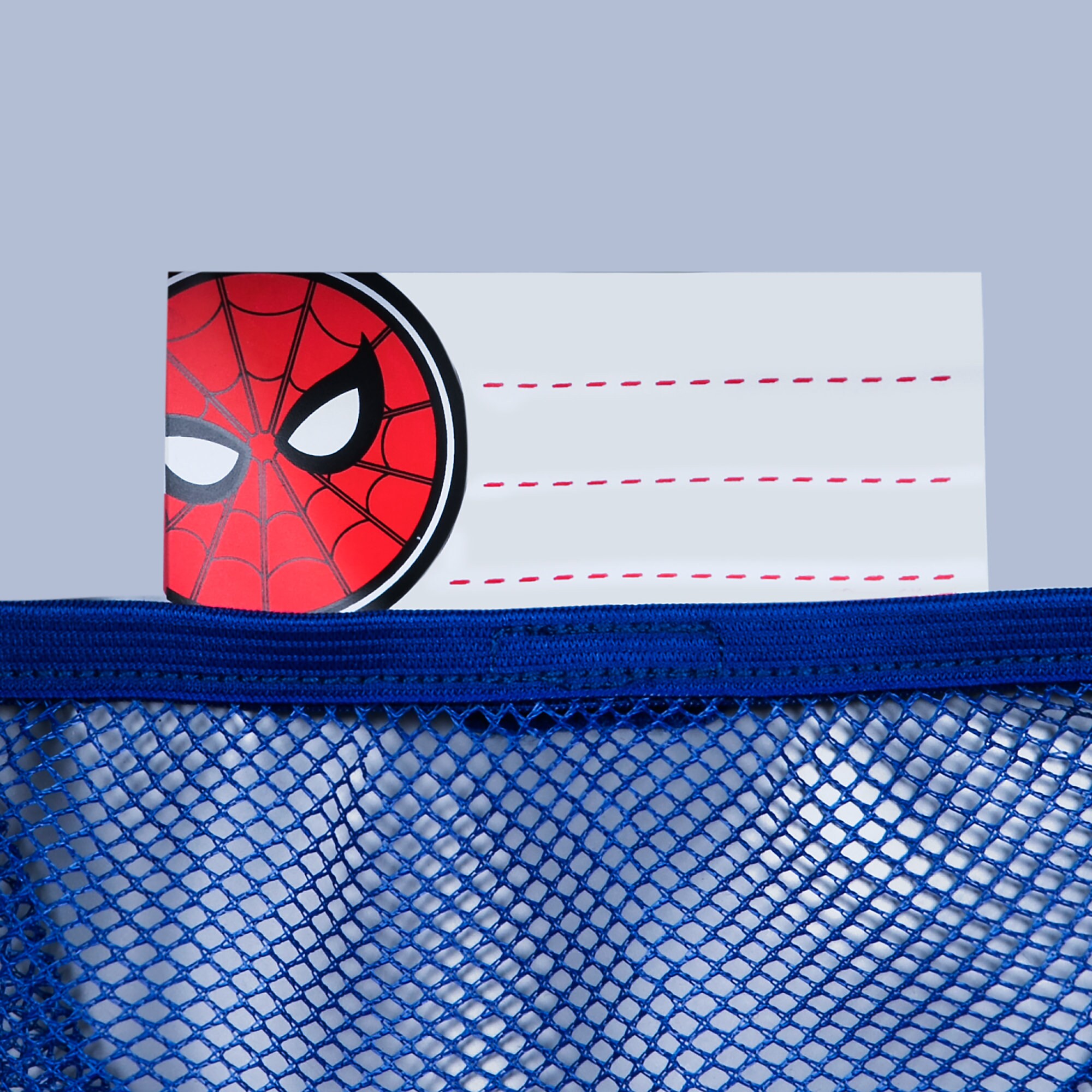 Spider-Man Lunch Box