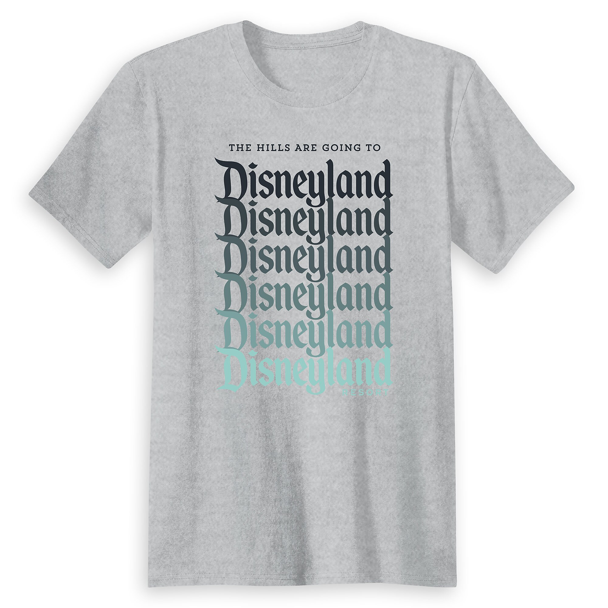 Adults Disneyland Ombre Family Vacation T-Shirt - Customized