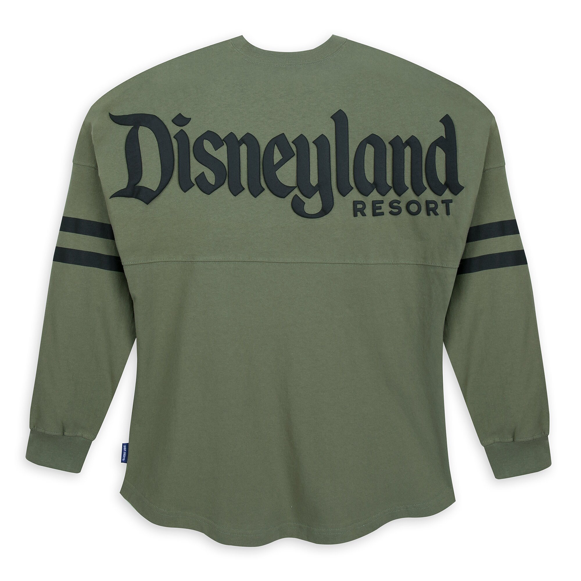 Disneyland Spirit Jersey for Adults - Sage