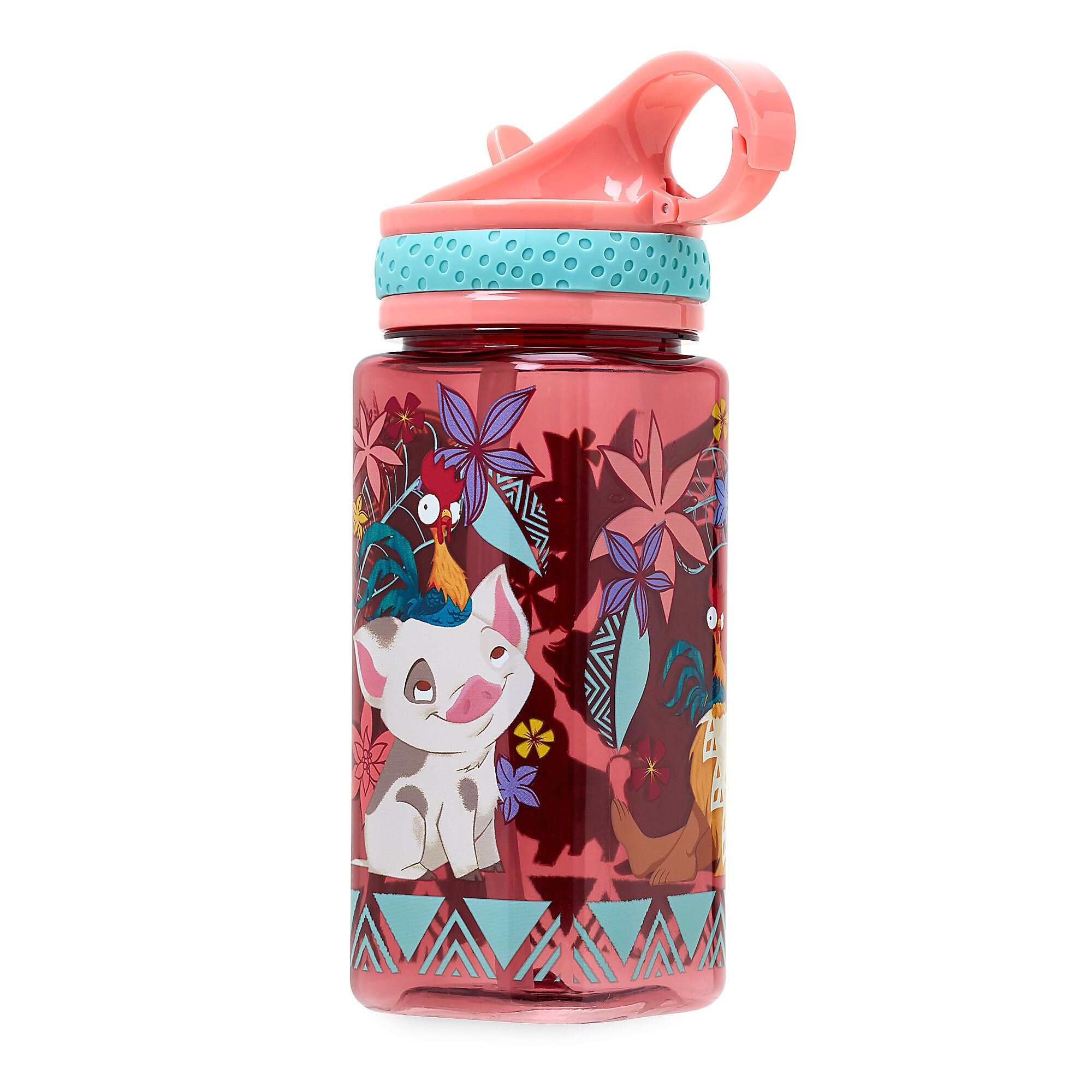 Moana Water Bottle with Built-In Straw