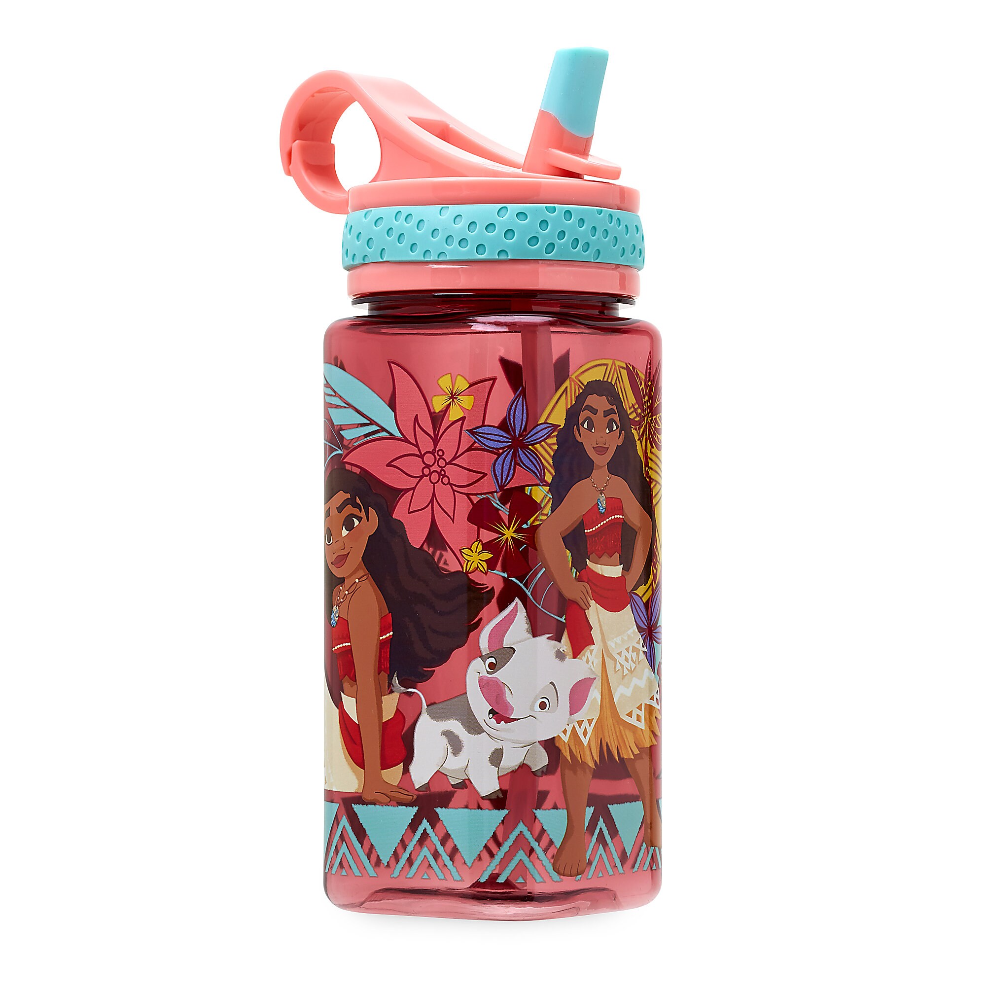 Moana Water Bottle with Built-In Straw