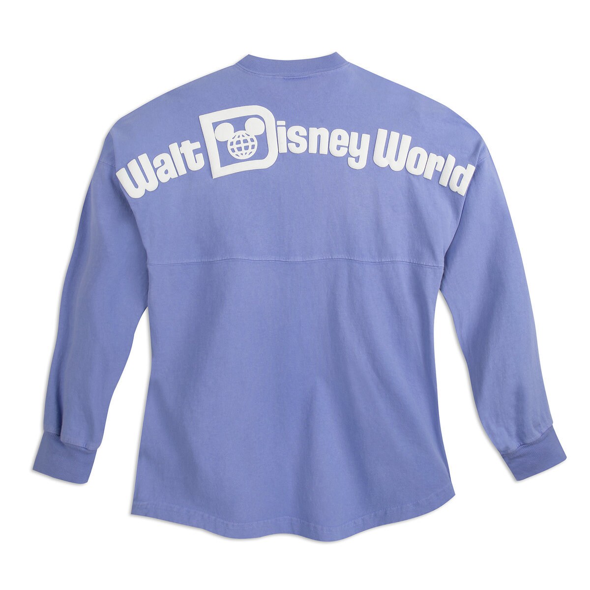 Image result for disney spirit jersey