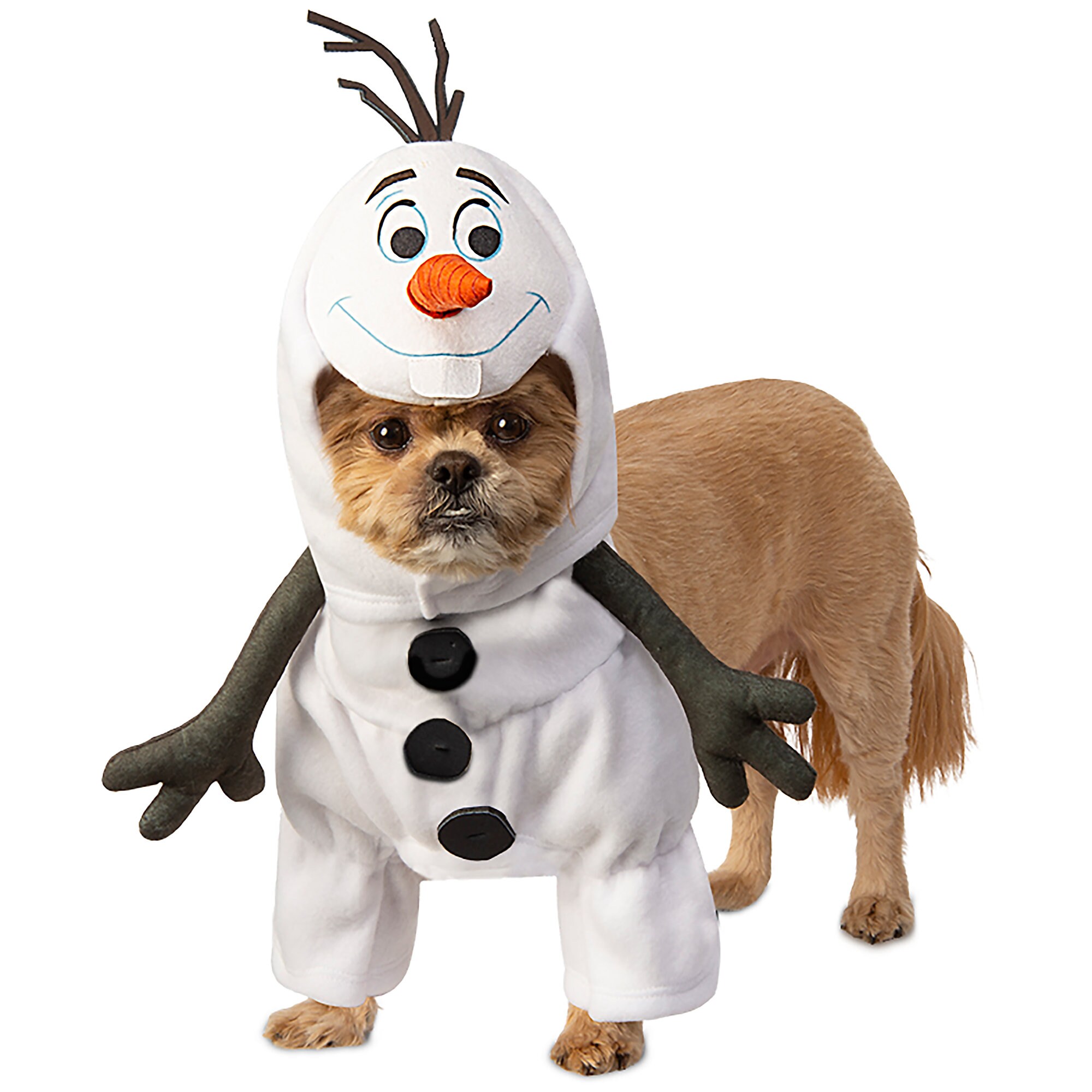 Olaf Pet Costume by Rubie's - Frozen