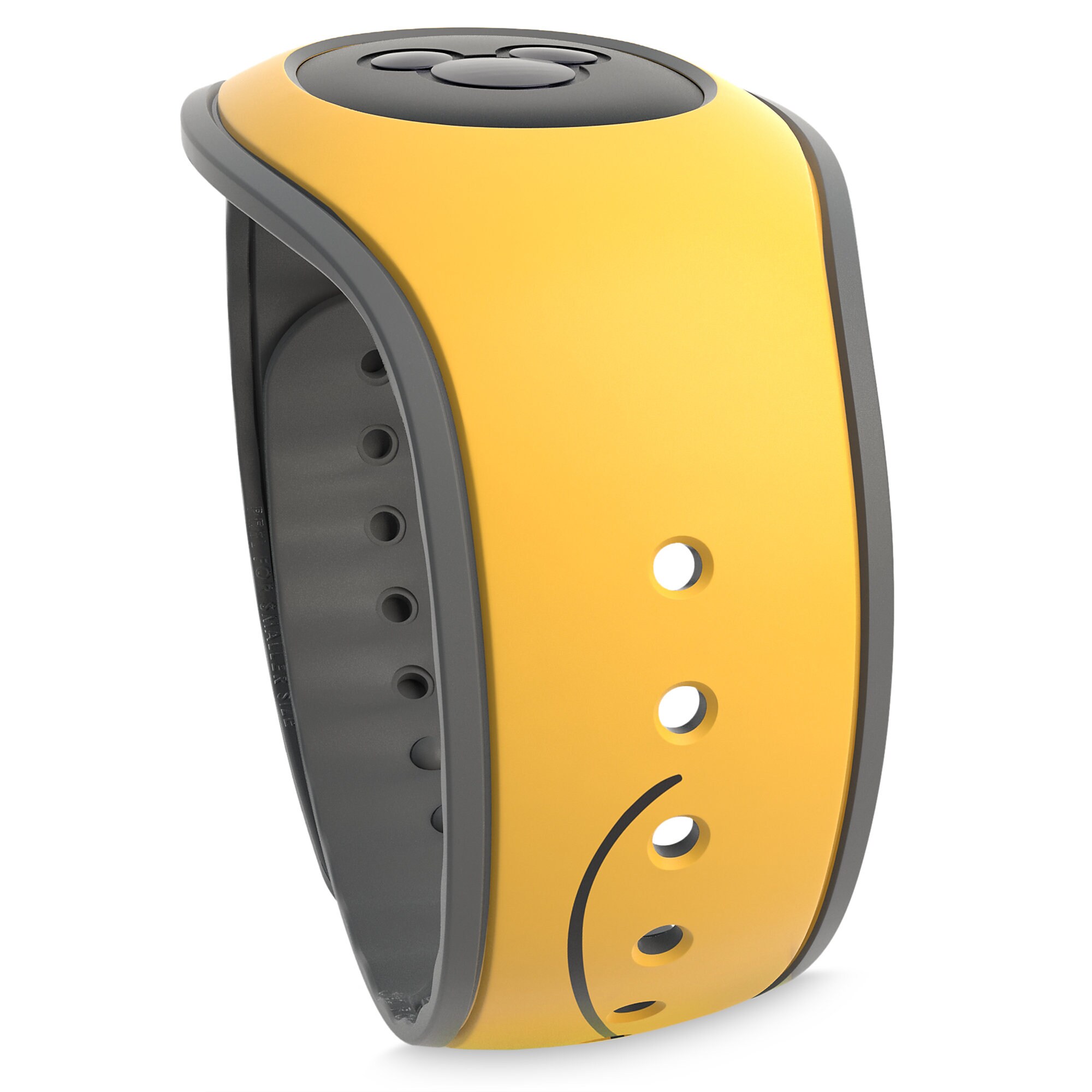 Pluto MagicBand 2 - Get Into Character