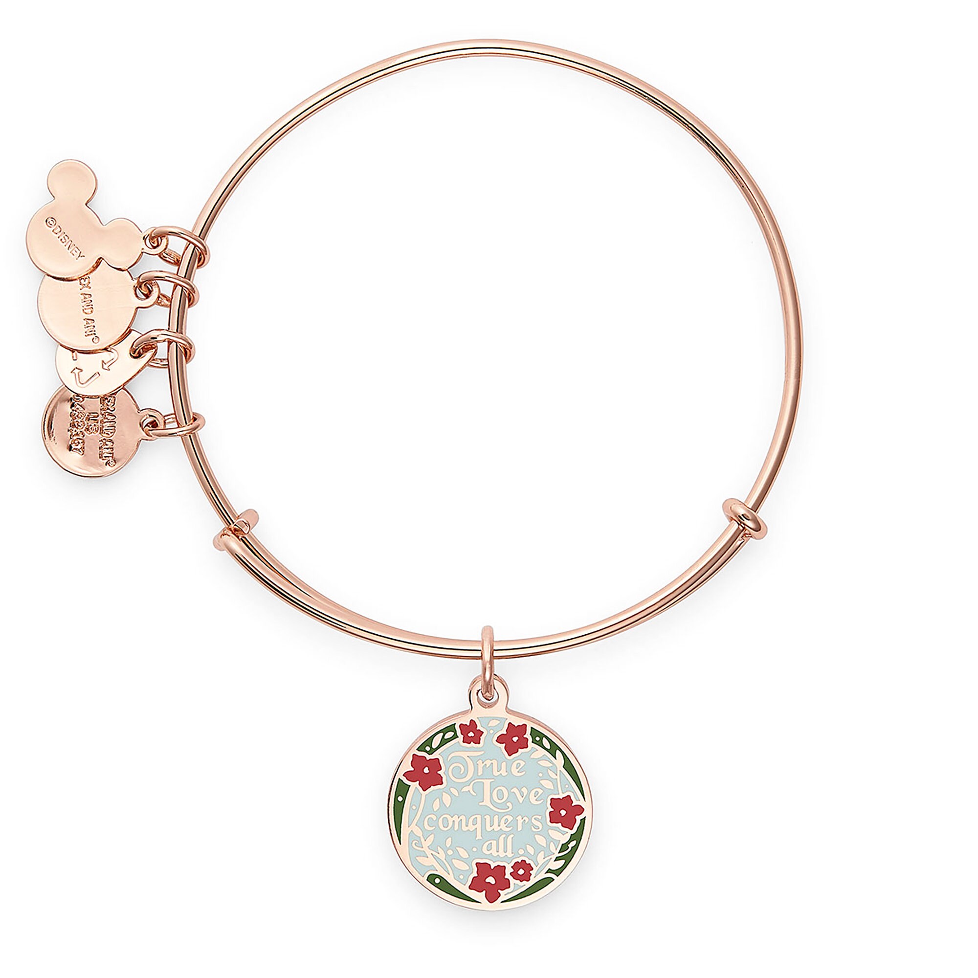 Aurora Bangle by Alex and Ani