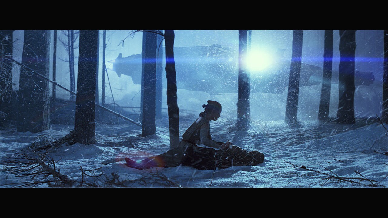 Chewbacca rescued Finn and Rey in the Falcon and the three returned to D’Qar, where the Resistanc...