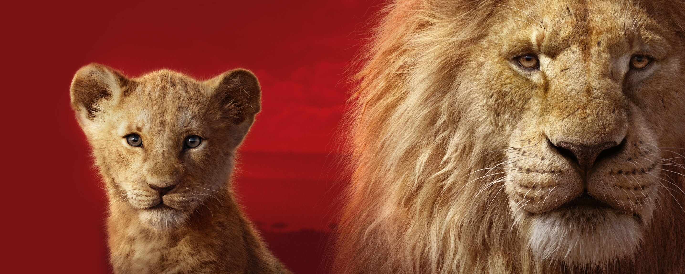 Le Roi Lion – Les affiches des personnages se dévoilent !