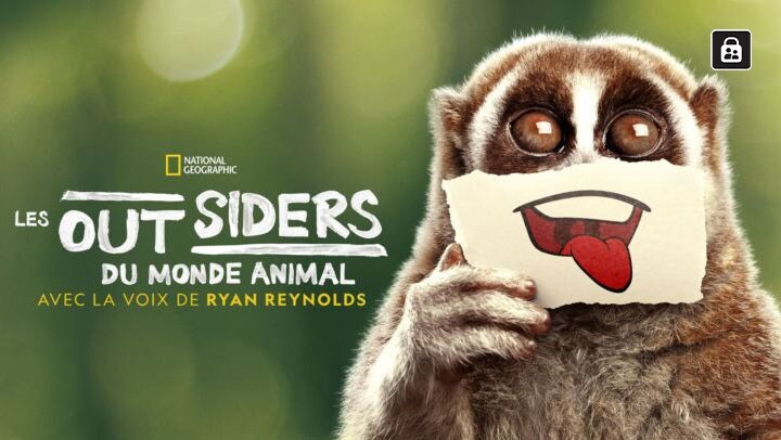 Les outsiders du monde animal