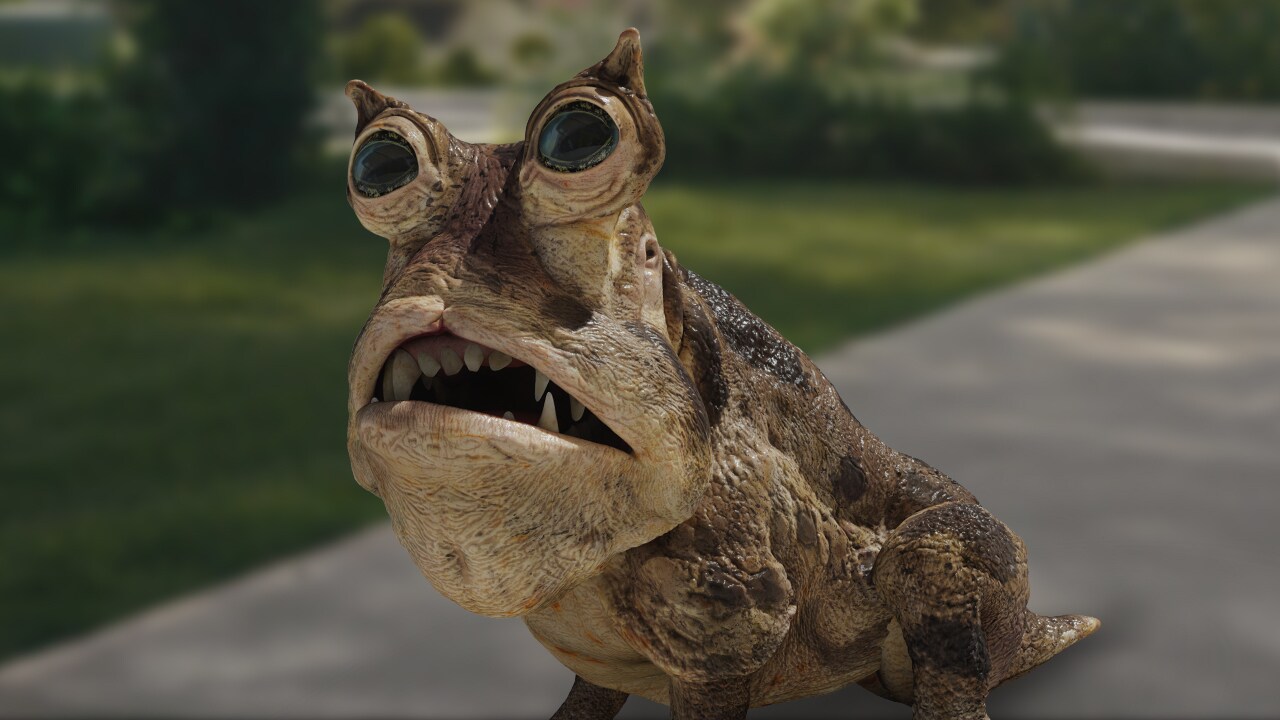 At Attin frogdog