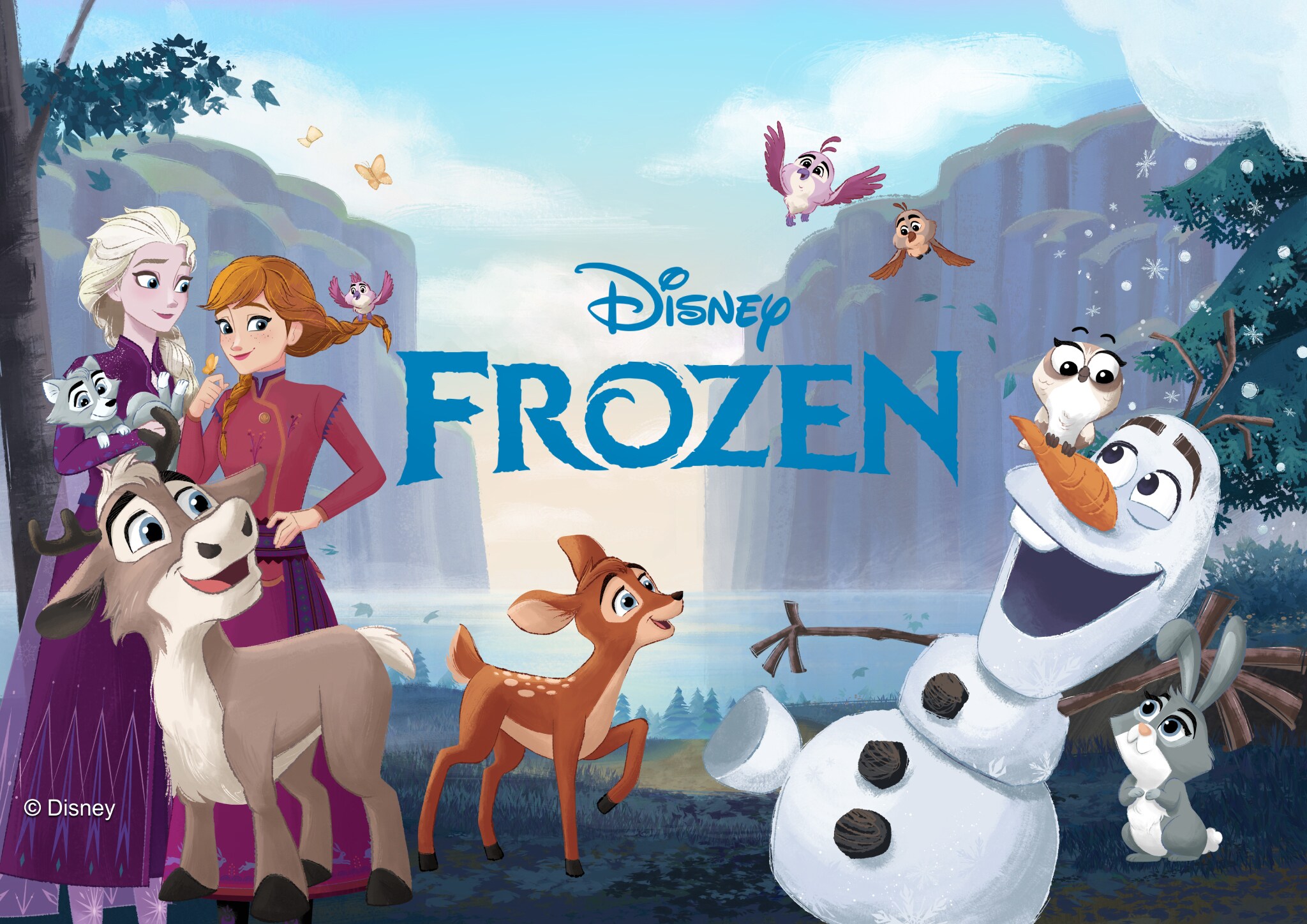 Disney - 東京ディズニーシー ファンタジースプリングス アナ雪