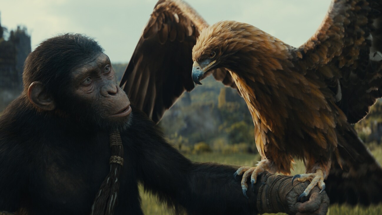 Noa (voiced by Owen Teague) in 20th Century Studios' KINGDOM OF THE PLANET OF THE APES. Photo courtesy of 20th Century Studios. © 2023 20th Century Studios. All Rights Reserved.