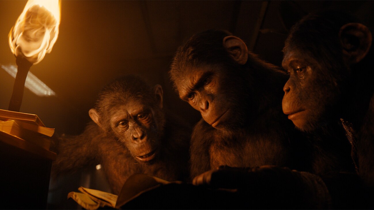 (L-R): Soona (played by Lydia Peckham), Noa (played by Owen Teague) and Anaya (played by Travis Jeffery) in 20th Century Studios' KINGDOM OF THE PLANET OF THE APES. Photo courtesy of 20th Century Studios. © 2023 20th Century Studios. All Rights Reserved.