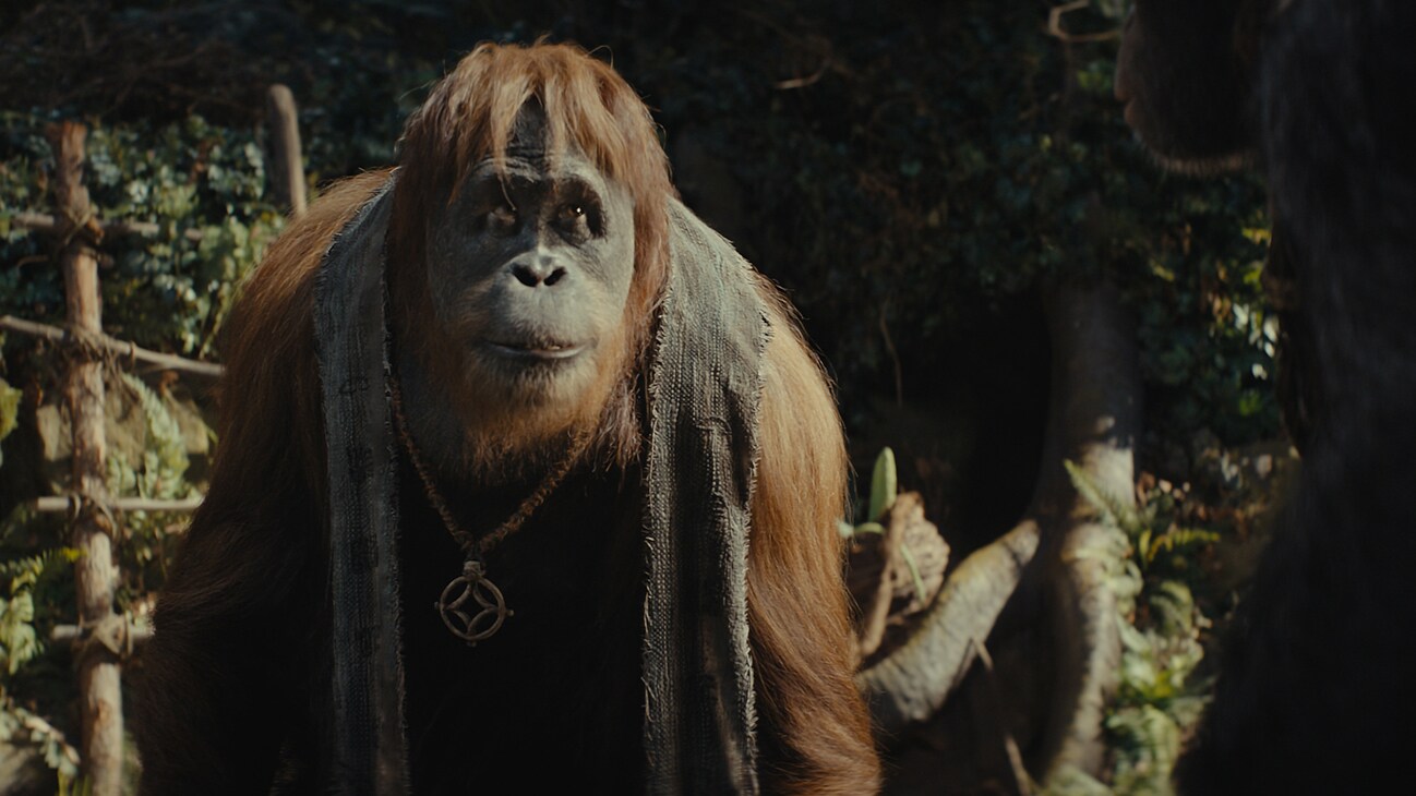 Raka (voiced by Peter Macon) in 20th Century Studios' KINGDOM OF THE PLANET OF THE APES. Photo courtesy of 20th Century Studios. © 2023 20th Century Studios. All Rights Reserved.	