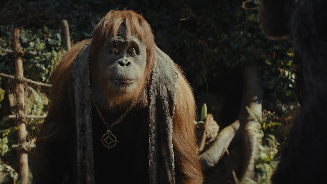 Raka (voiced by Peter Macon) in 20th Century Studios' KINGDOM OF THE PLANET OF THE APES. Photo courtesy of 20th Century Studios. © 2023 20th Century Studios. All Rights Reserved.